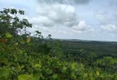 10.75 Acre Land with Rubber Plantation near Welipenna Interchange