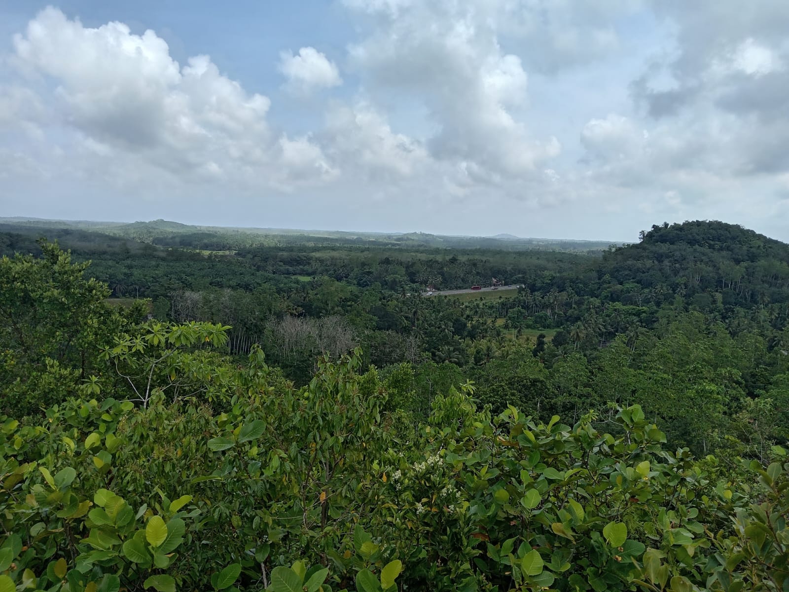 10.75 Acre Land with Rubber Plantation near Welipenna Interchange