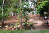House for Sale – Negombo