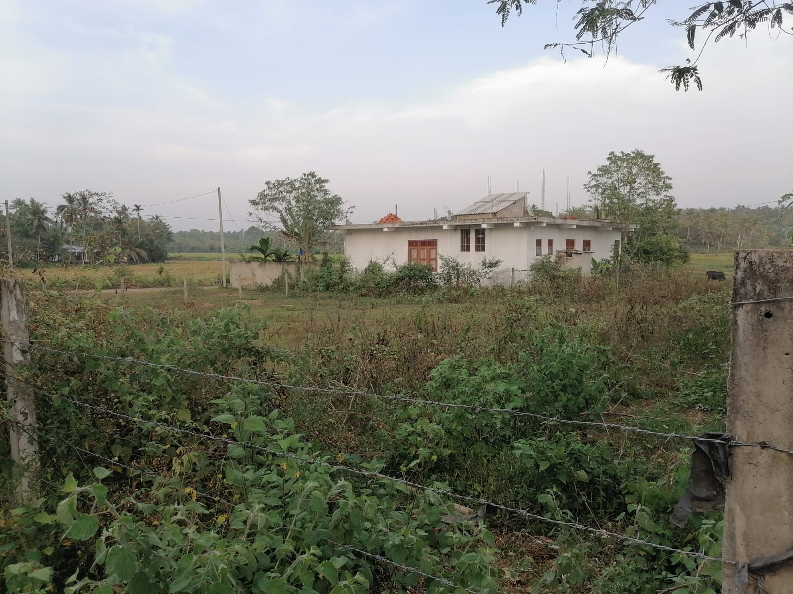 Residential Land for Sale in Weeraketiya