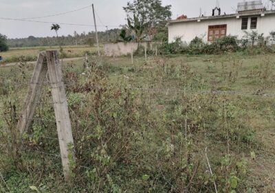 Residential Land for Sale in Weeraketiya