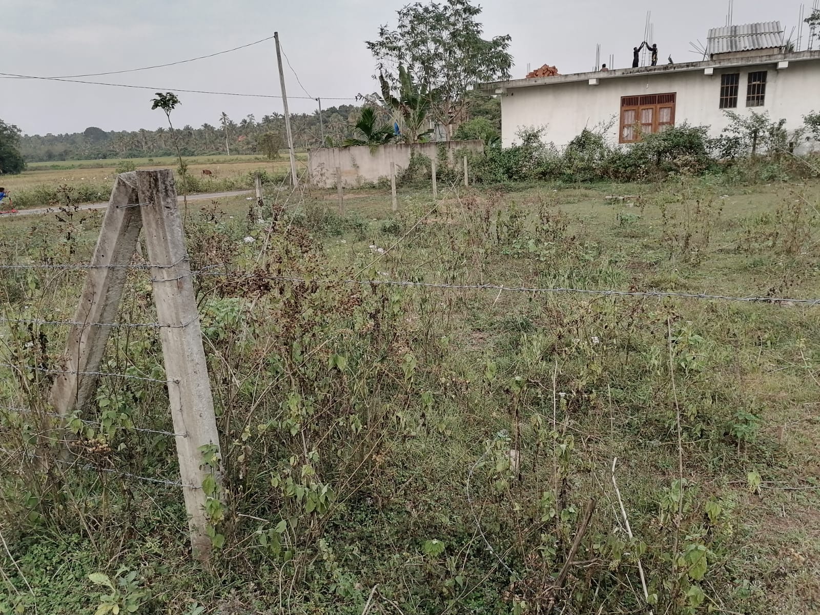 Residential Land for Sale in Weeraketiya