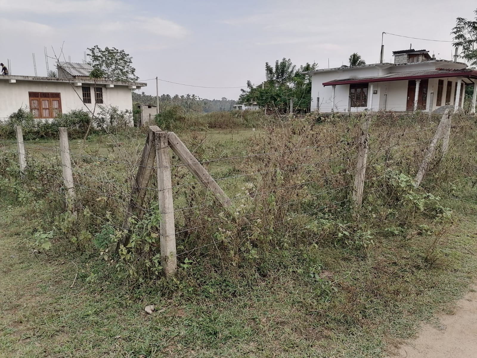 Residential Land for Sale in Weeraketiya