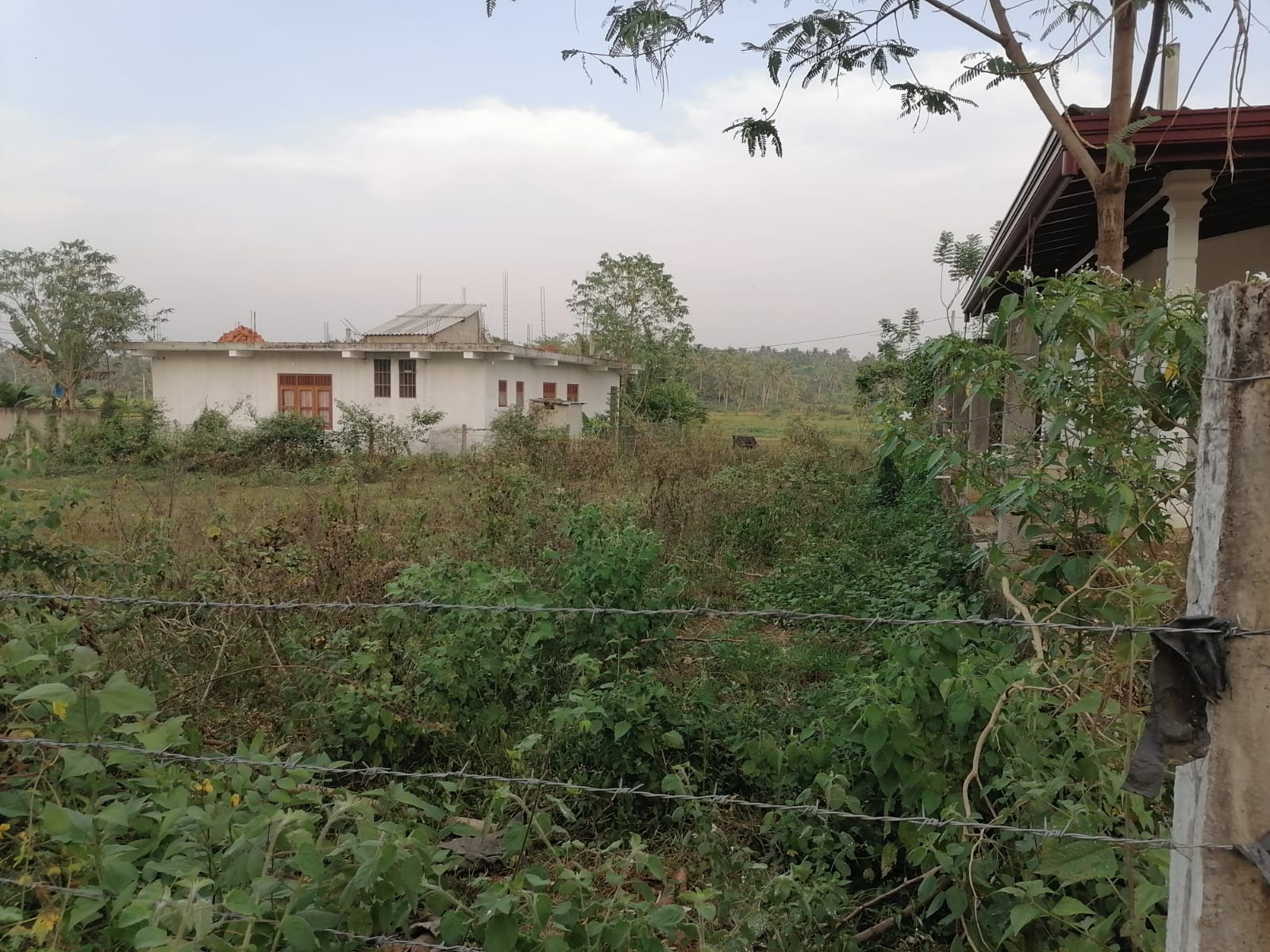 Residential Land for Sale in Weeraketiya