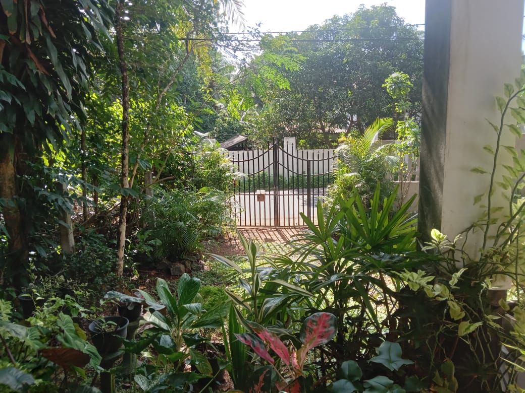 House for Sale in Ragama