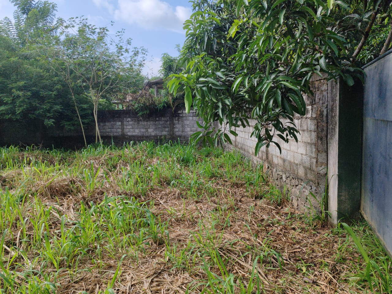 Waterfront land in Pinnawala tourist area is for sale