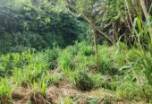 Waterfront land in Pinnawala tourist area is for sale