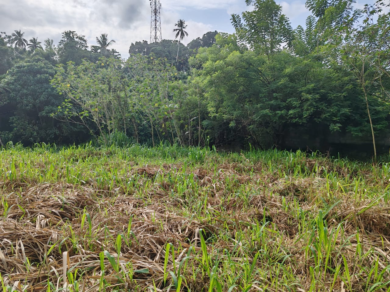 Waterfront land in Pinnawala tourist area is for sale