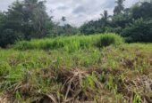 Waterfront land in Pinnawala tourist area is for sale