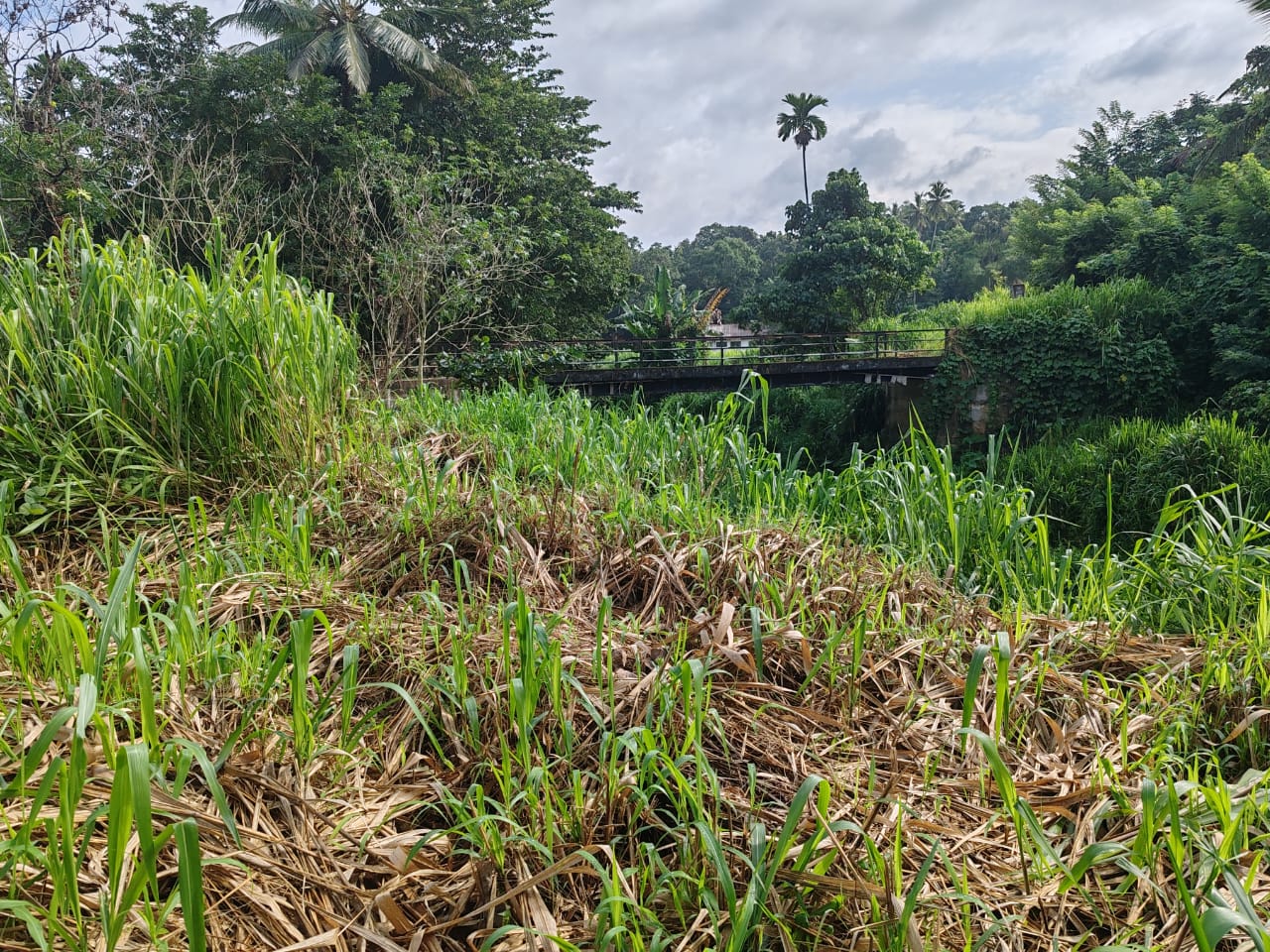 Waterfront land in Pinnawala tourist area is for sale