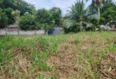 Waterfront land in Pinnawala tourist area is for sale