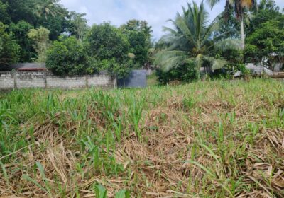 Waterfront land in Pinnawala tourist area is for sale