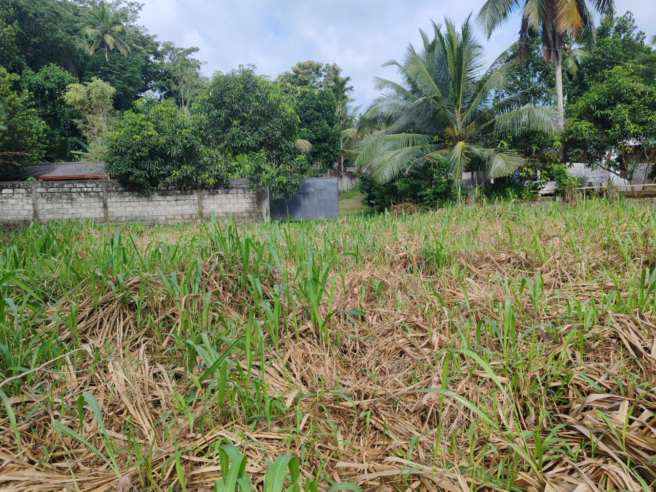 Waterfront land in Pinnawala tourist area is for sale