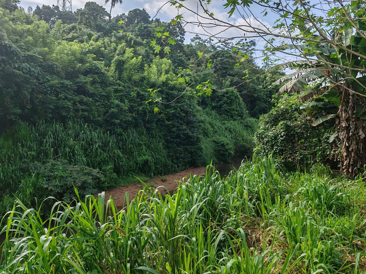 Waterfront land in Pinnawala tourist area is for sale