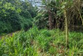 Waterfront land in Pinnawala tourist area is for sale