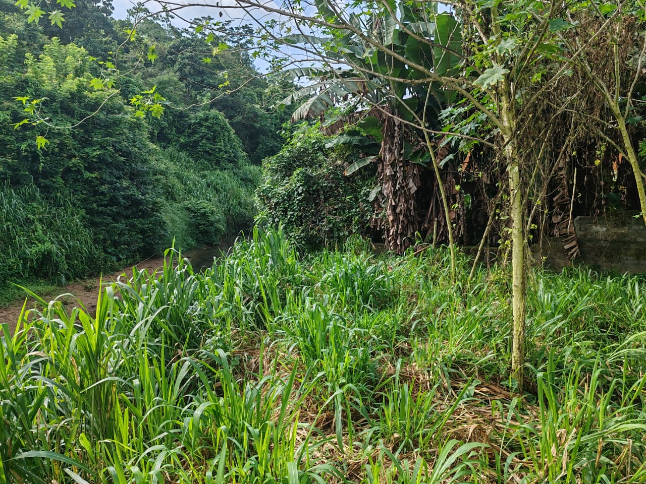 Waterfront land in Pinnawala tourist area is for sale