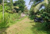 Waterfront land in Pinnawala tourist area is for sale