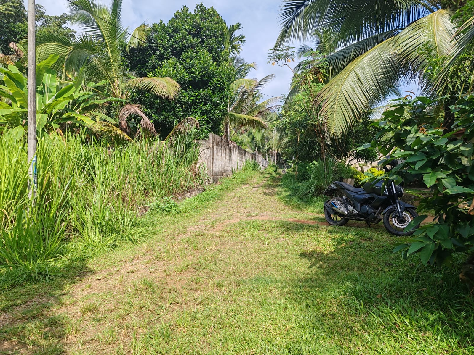 Waterfront land in Pinnawala tourist area is for sale