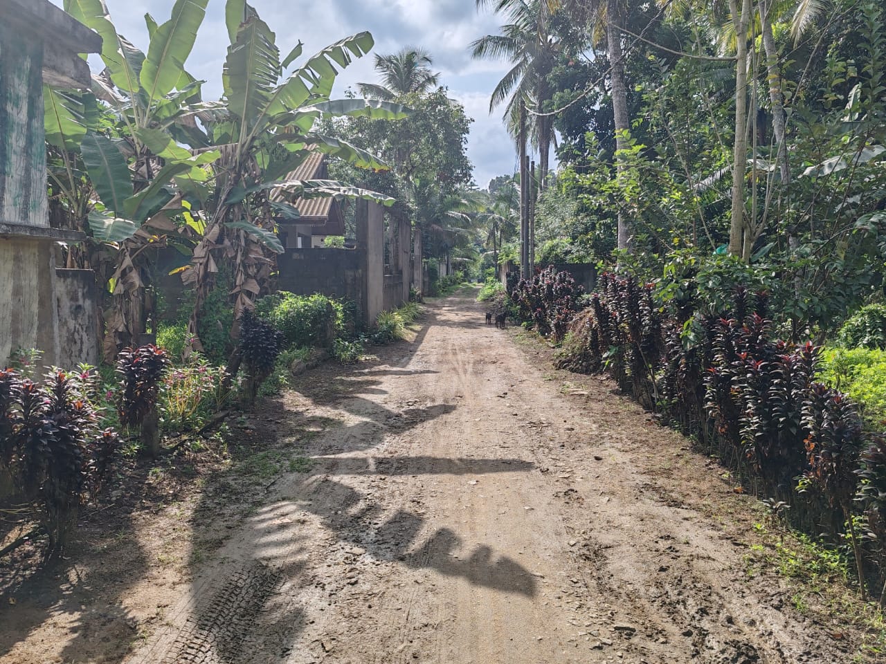 Waterfront land in Pinnawala tourist area is for sale