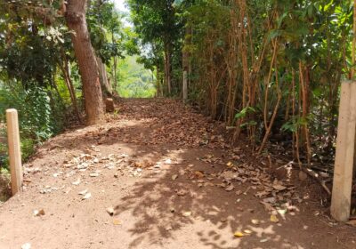 කුරුදු ඉඩමක් පර්.33.5 Matara