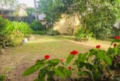 Land for Sale Thalapathpitiya