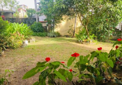 Land for Sale Thalapathpitiya