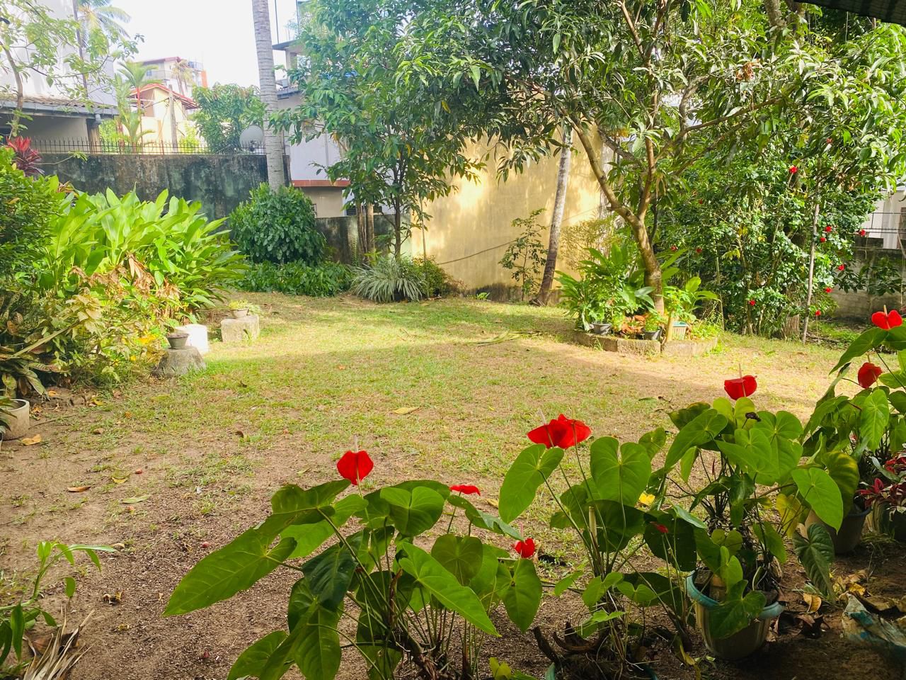 Land for Sale Thalapathpitiya