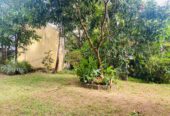 Land for Sale Thalapathpitiya