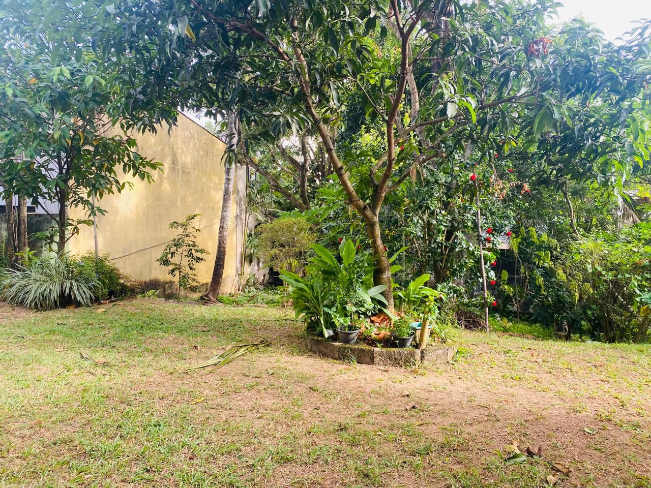 Land for Sale Thalapathpitiya