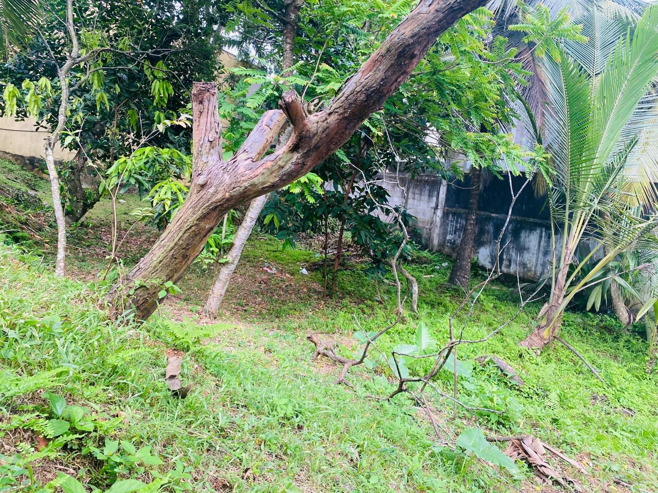 Land for Sale Thalapathpitiya