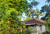 Old House with Land for Sale in Homagama(Pitipana Road) Berukatiya