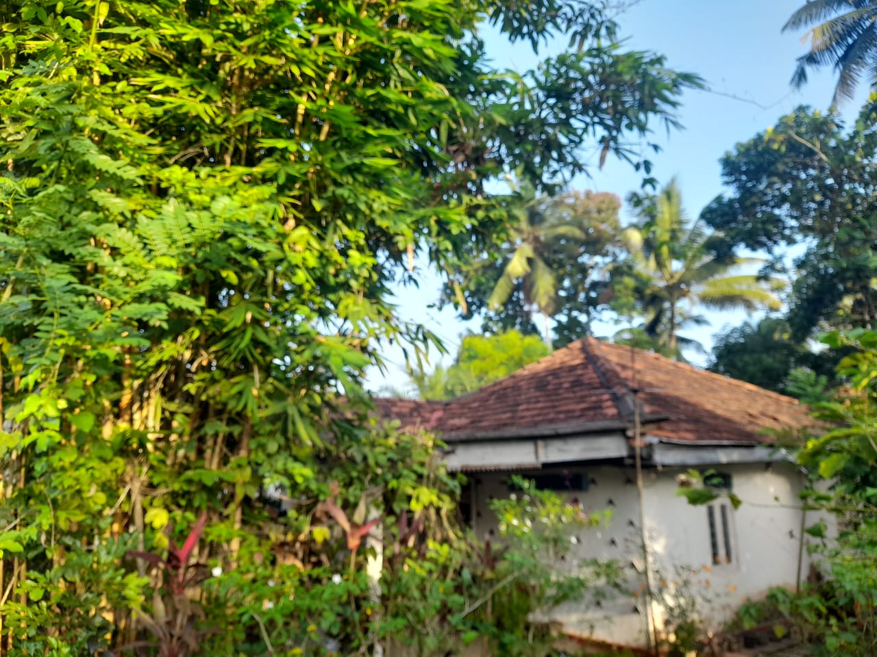 Old House with Land for Sale in Homagama(Pitipana Road) Berukatiya