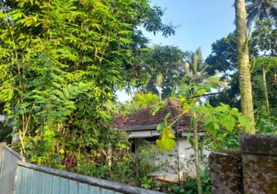 Old House with Land for Sale in Homagama(Pitipana Road) Berukatiya