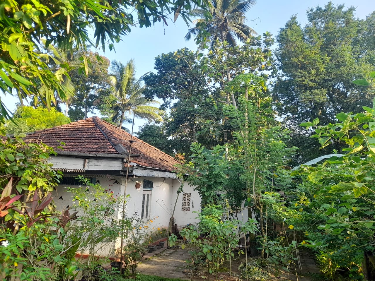 Old House with Land for Sale in Homagama(Pitipana Road) Berukatiya