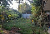 Old House with Land for Sale in Homagama(Pitipana Road) Berukatiya