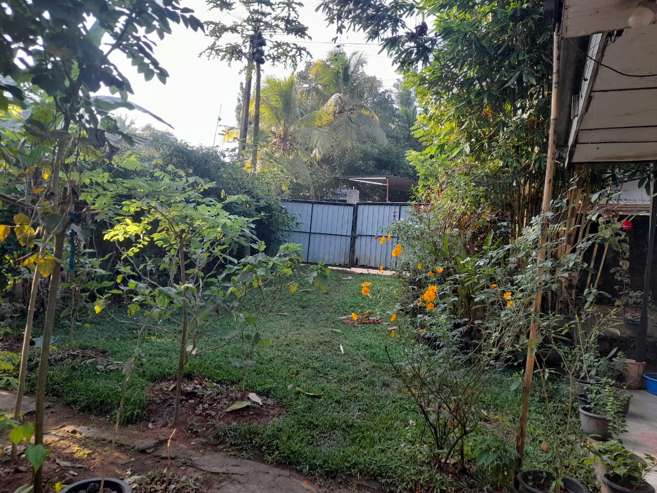 Old House with Land for Sale in Homagama(Pitipana Road) Berukatiya