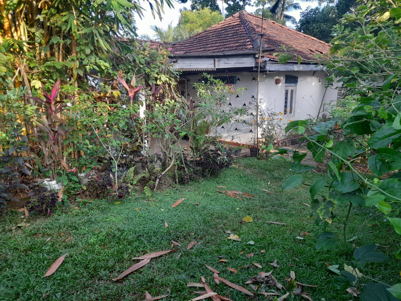 Old House with Land for Sale in Homagama(Pitipana Road) Berukatiya