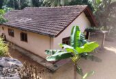 ඇල්පිටියෙන් කුරුඳු ඉඩමක් සමග කාමර 5ක නිවසක්