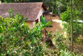 ඇල්පිටියෙන් කුරුඳු ඉඩමක් සමග කාමර 5ක නිවසක්