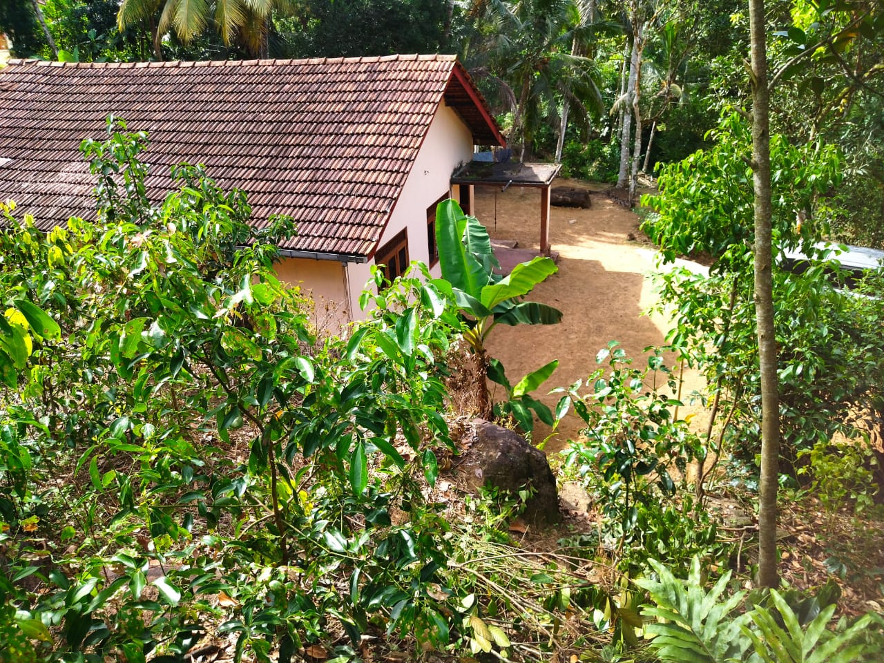 ඇල්පිටියෙන් කුරුඳු ඉඩමක් සමග කාමර 5ක නිවසක්