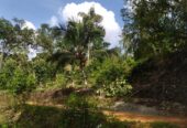 ඇල්පිටියෙන් කුරුඳු ඉඩමක් සමග කාමර 5ක නිවසක්