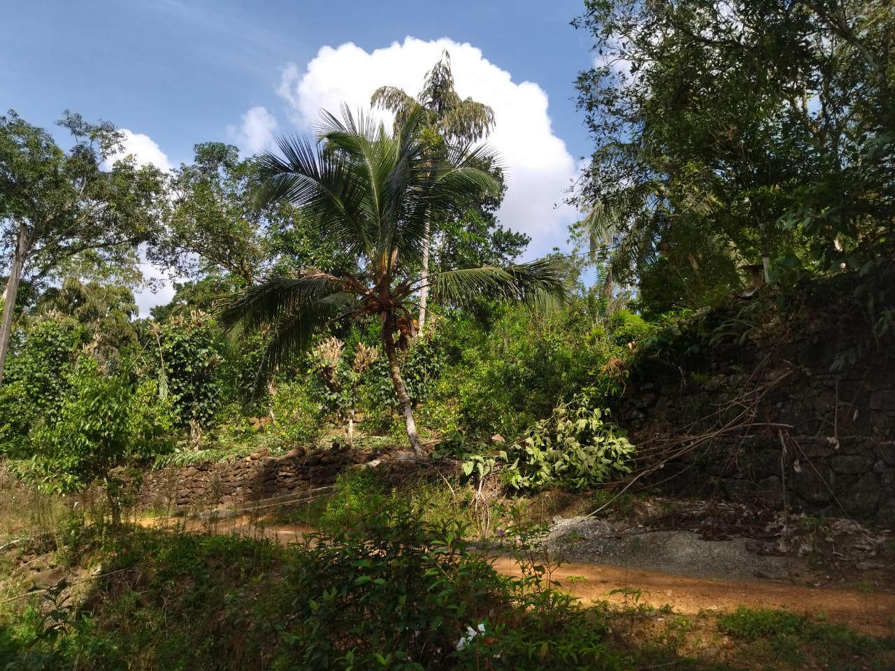 ඇල්පිටියෙන් කුරුඳු ඉඩමක් සමග කාමර 5ක නිවසක්