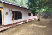 ඇල්පිටියෙන් කුරුඳු ඉඩමක් සමග කාමර 5ක නිවසක්