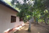ඇල්පිටියෙන් කුරුඳු ඉඩමක් සමග කාමර 5ක නිවසක්