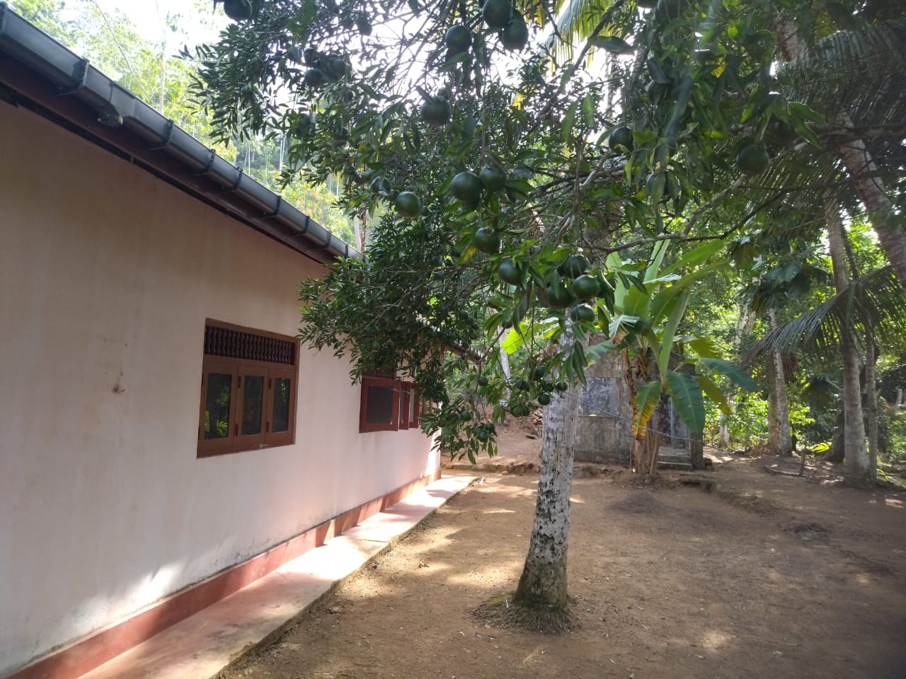 ඇල්පිටියෙන් කුරුඳු ඉඩමක් සමග කාමර 5ක නිවසක්