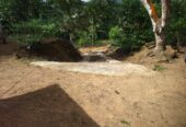 ඇල්පිටියෙන් කුරුඳු ඉඩමක් සමග කාමර 5ක නිවසක්