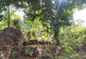ඇල්පිටියෙන් කුරුඳු ඉඩමක් සමග කාමර 5ක නිවසක්