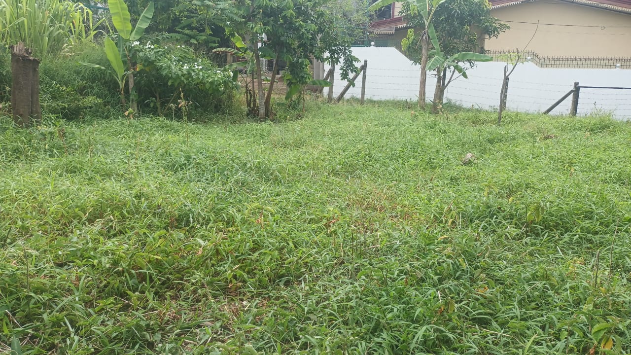 Land for Sale Arawwala Pannipitiya