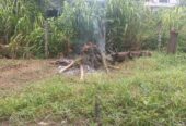 Land for Sale Arawwala Pannipitiya