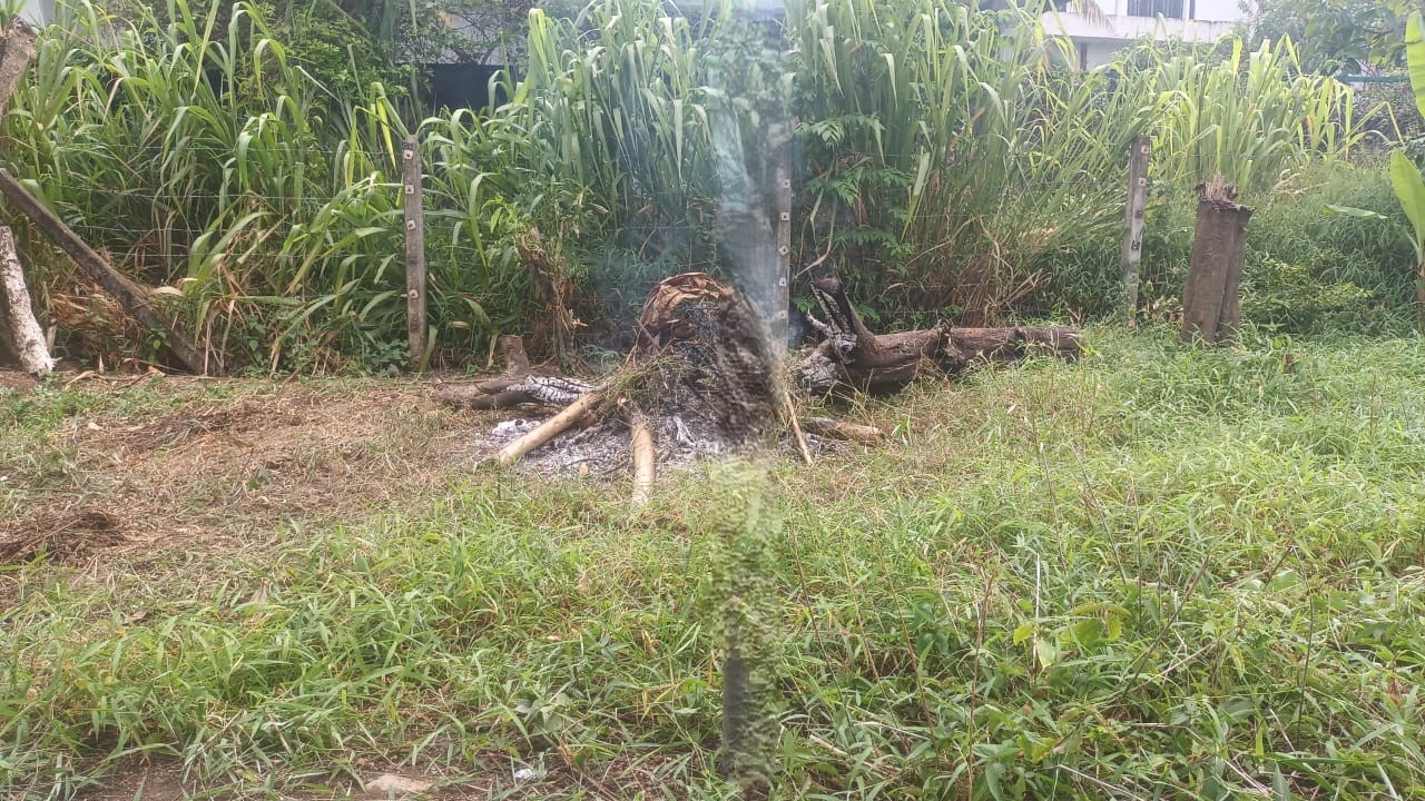 Land for Sale Arawwala Pannipitiya